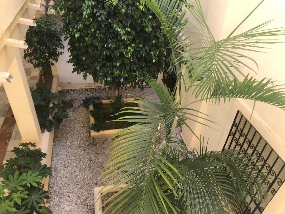 Apartamento Las Mimosas Beach 라칼라데미야스 외부 사진